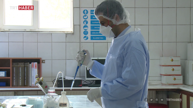 Koronavirüs testi yapılan laboratuvarı TRT Haber görüntüledi